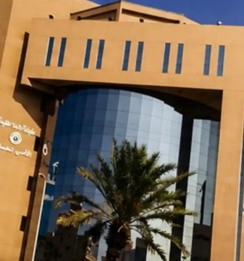 مشروع منفَّذ: منشأة حكومية